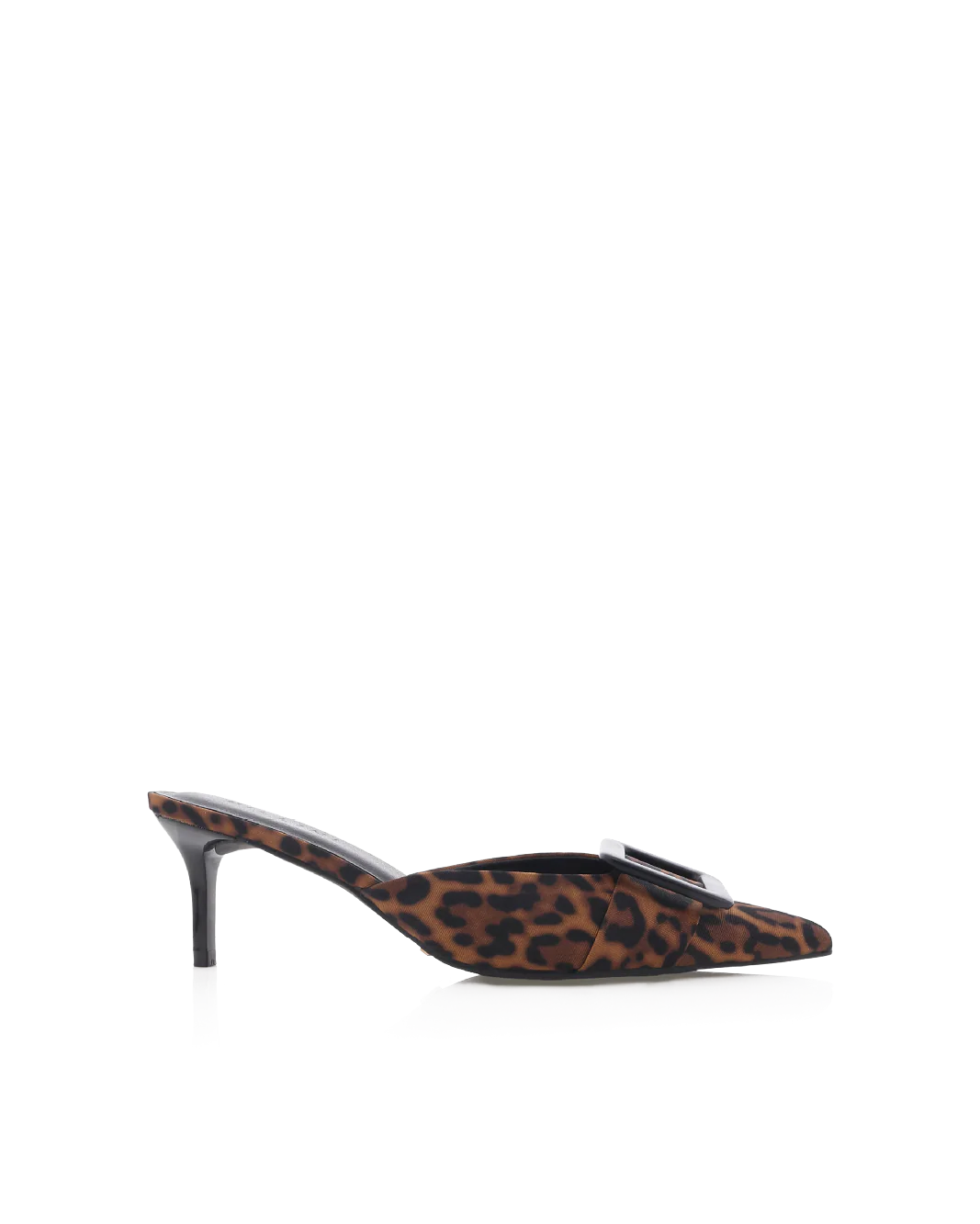 YORKIE - LEOPARD